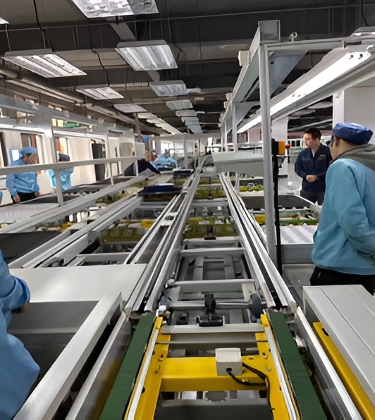 Automatic Production Line